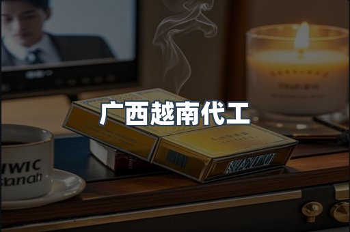 广西越南代工